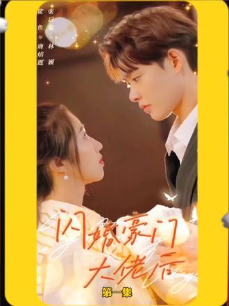 闪婚豪门大佬后51-65集