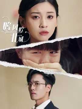 晚风吹北城全集(大结局)