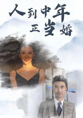 人到中年正当婚第51集