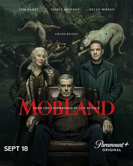 黑帮领地 第二季