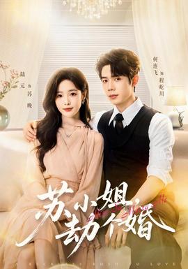 苏小姐，劫个婚(全集)